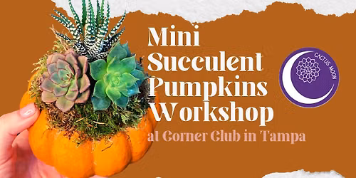 'Lil Succulent Pumpkins Workshop at Corner Club