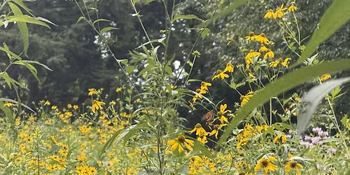 Pollinator Garden Cleanup with Sustainable South Jersey