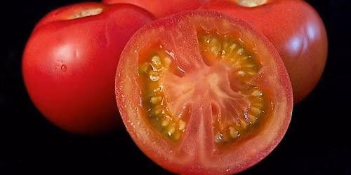 Growing Great Tomatoes in Central Florida