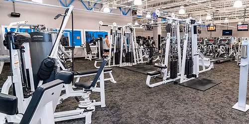 BLACK FRIDAY SPECIAL