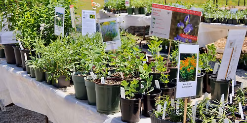 Spring Plant Sale \u2013 Friends Members Preview Sale