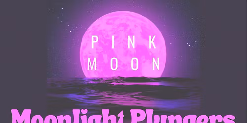 Moonlight plungers - The pink moon