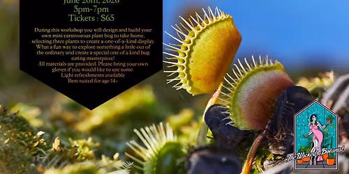 Carnivorous Bog Workshop