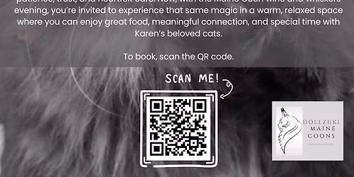 Dollzuki Maine Coon Cat Cafe
