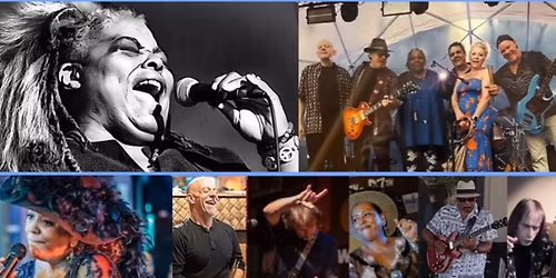 Women of the Blues: Artist Showcase