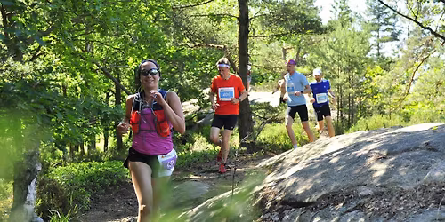 Skat\u00e5s ryggar 2026