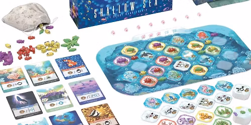 Shallow Sea -- Learn to Play!