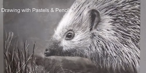 Drawing with Pencil and Pastels - Bury St Edmunds