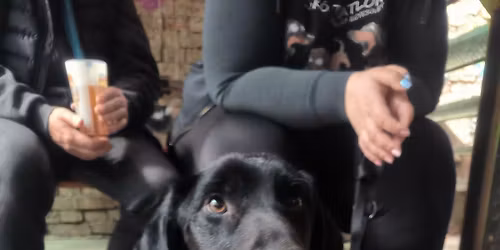 M\u00e1jusi mini \u00f6r\u00f6kbefogad\u00f3 nap a Szimpla Kertben