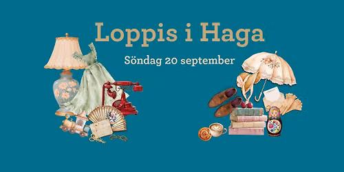Loppis i Haga
