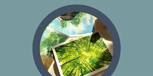 Watercolour Class: Trees & Forests