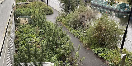 Free gardening workshop
