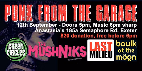 PUNK FROM THE GARAGE: Green Circles | Mushniks | Last Milieu | Baulk at the M\u00f6\u00f6n 