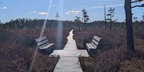 MTN OUTdoors: Welcoming Winter at the Bog