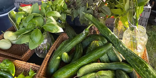 2025 Bellows Falls Farmers Market