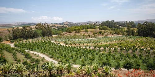 Regenerative Farm Tours at Apricot Lane Farms
