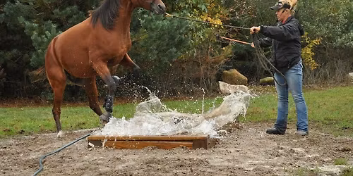 Skills Building Mountain Trail Clinic