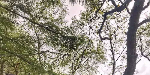 Tarps, Natural Nav & Man Made Tinder Course