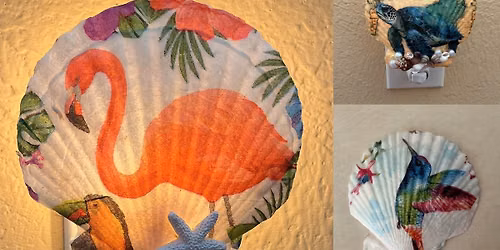 06\/12 - scallop sea shell nightlight class
