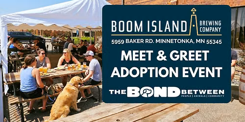 Meet & Greet Adoption Event at Boom Island Brewing