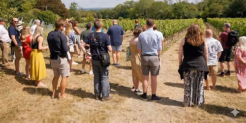Vineyard Tour: Greyfriar's