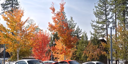 Porsche Timeline Big Bear