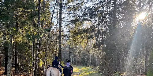 Caf\u00e9 og juleridning\u2764\ufe0f