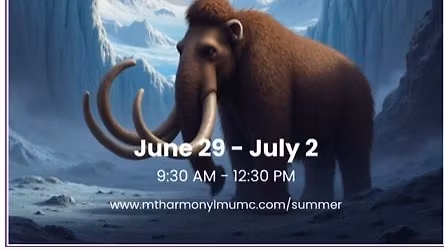 VBS Ice Age (4days)