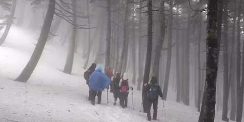 \u03a0\u03b1\u03c1\u03b1\u03bc\u03bf\u03bd\u03ae \u03a0\u03c1\u03c9\u03c4\u03bf\u03c7\u03c1\u03bf\u03bd\u03b9\u03ac\u03c2 \u03c3\u03c4\u03bf\u03bd \u03bc\u03b1\u03b3\u03b9\u03ba\u03cc \u0395\u03bb\u03b1\u03c4\u03b9\u03ac!