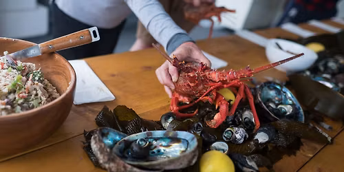 Fiordland Seafood Adventure - November 2025