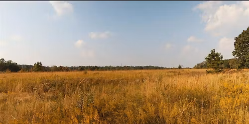 Eno Climate Champions 4.0: Final Session