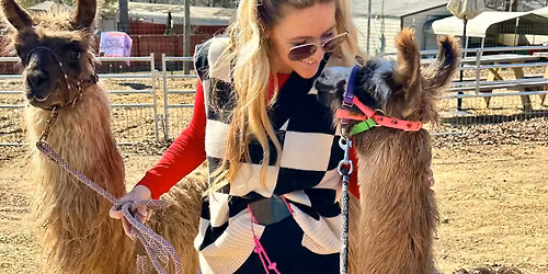 5th Annual LLAMA PALOOZA @ Redbird Willow Farm 