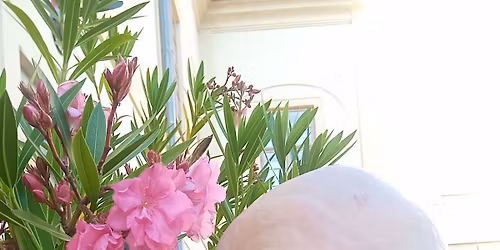 Matou\u0161ova rozlu\u010dka s Midgardem\/ (asi) posledn\u00ed ofiko sm\u011bna.