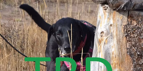 TBD Trials: Upland, CA