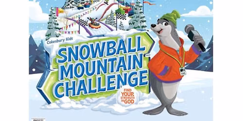 VBS Snowball Mountain Challenge