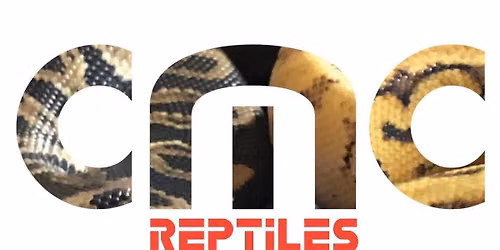 CMC Reptiles are the Library