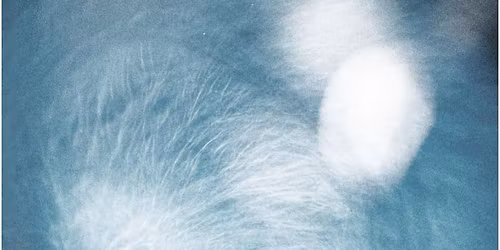 Bl\u00e5 Jul: En del af Bl\u00e5 Vesper