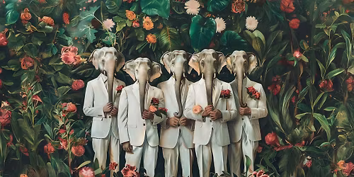 ORANGE | KUZ Kulturzentrum | Mainz