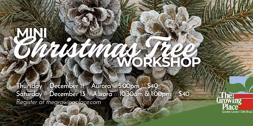 Mini Christmas Tree Workshop - Aurora