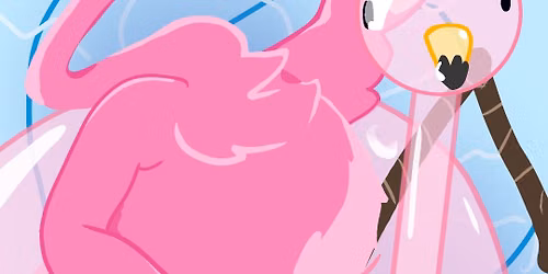 Pink Flamingo Trivia