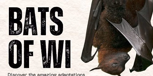 Bats of WI: Presented by North Lakeland Discovery Center