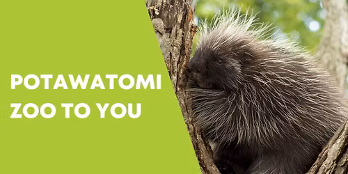 Potawatomi Zoo to You