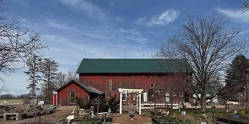 Antique Sale at Northwind Perennial Farm