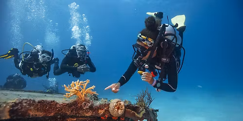 PADI Open Water Certification - Start Your Underwater Adventure!