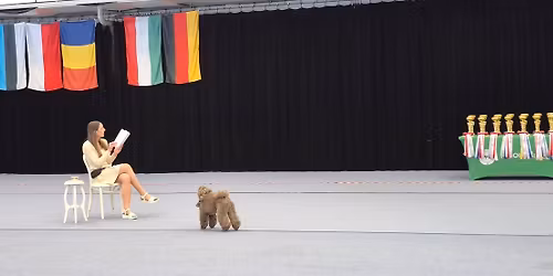 \u0160oki\u0173 su \u0161unimis var\u017eybos (Dog dance competition) 2025.05.17