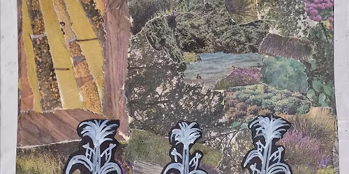 Seed Talks at Argus:  Roguing