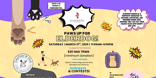 Paws Up For ElderDog Fundraiser!