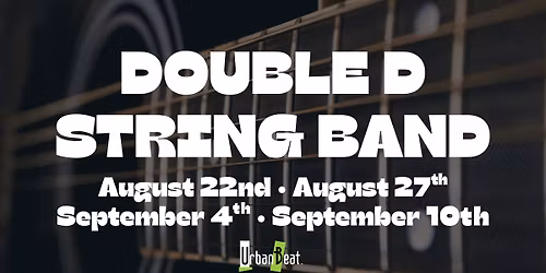 Double D String Band - No Cover