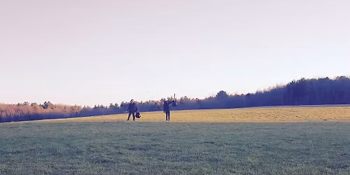 Fox and the Dragon at Forge and Vine (Live Music)