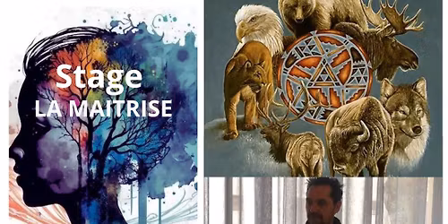 Formation Praticien en Soin \u00c9nerg\u00e9tique et R\u00e9paration Cellulaire : La Maitrise